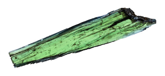 Similar image 21781748