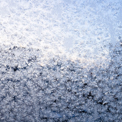 Similar image 21781681