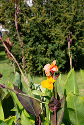 Similar image 21784273