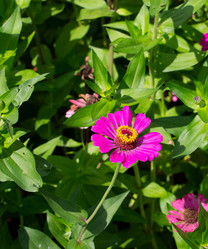 Similar image 21784277