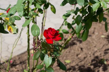 Similar image 21784278