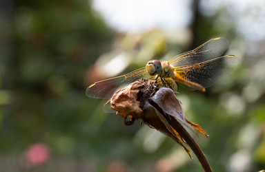 Similar image 21784287