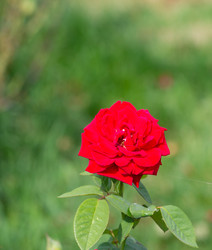 Similar image 21782494