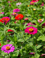 Similar image 21782497