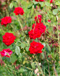 Similar image 21782500