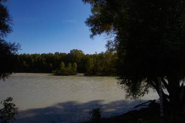 Similar image 21783817