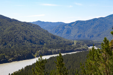 Similar image 21783822