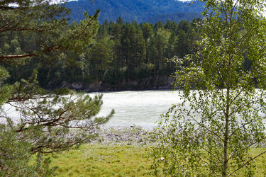 Similar image 21783824