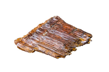 Similar image 21781705