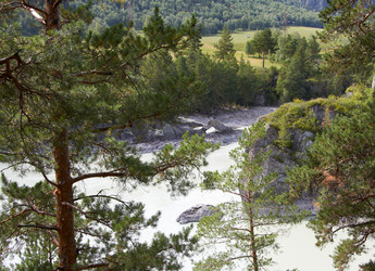 Similar image 21784027