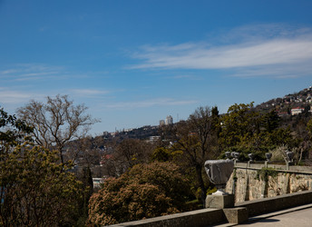 Similar image 21784302