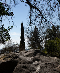 Similar image 21784305