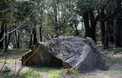 Similar image 21784306