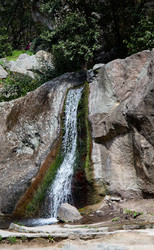 Similar image 21784309