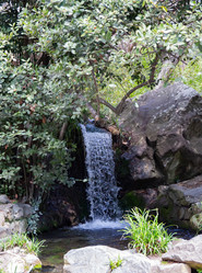 Similar image 21784311