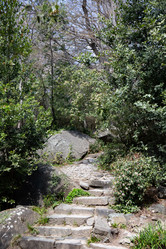 Similar image 21784316