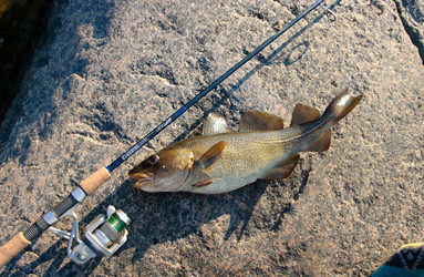 Similar image 21783387