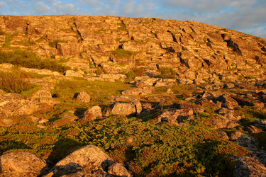 Similar image 21782185