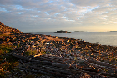 Similar image 21782186