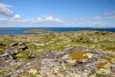 Similar image 21782204