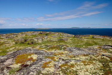 Similar image 21782205