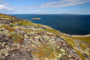 Similar image 21782208