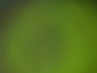 Similar image 21784322