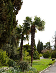 Similar image 21784048