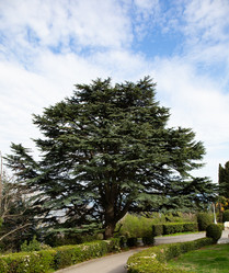 Similar image 21784058