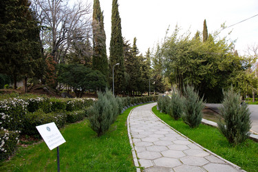 Similar image 21784063