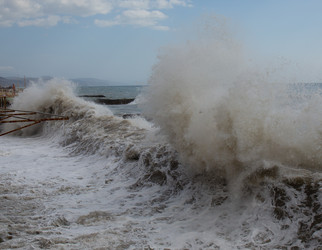 Similar image 21784325