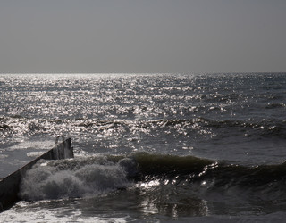 Similar image 21784326