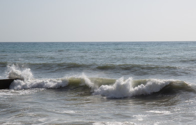 Similar image 21784328