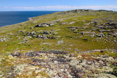 Similar image 21782210