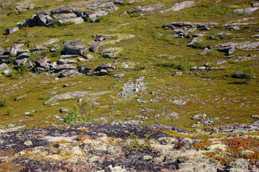 Similar image 21782211