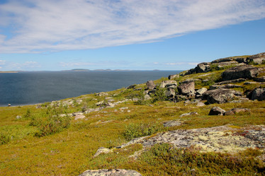 Similar image 21782214