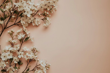 Similar image 21782028