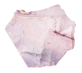 Similar image 21781906