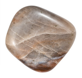 Similar image 21781931