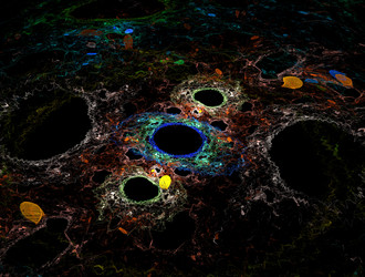 Similar image 21784584