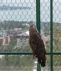 Similar image 21784108