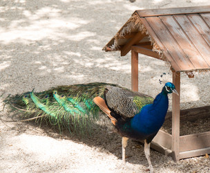 Similar image 21784118