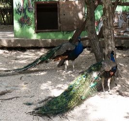 Similar image 21784122