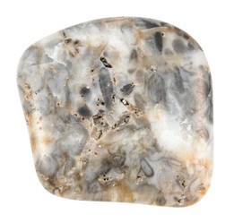 Similar image 21781723