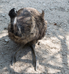 Similar image 21783827