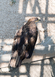 Similar image 21783832