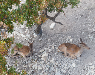 Similar image 21783834