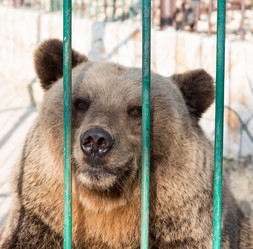 Similar image 21783838