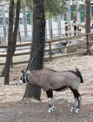 Similar image 21783843