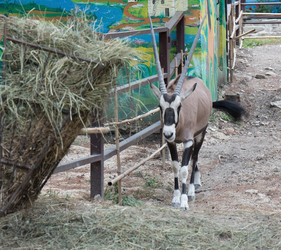 Similar image 21783847